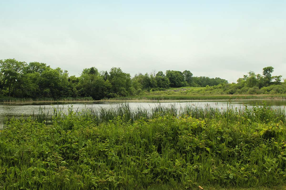 New Resources Consulting’s Annual Golf Outing at The Bog