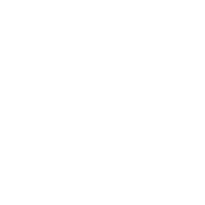 Part-Time CIO